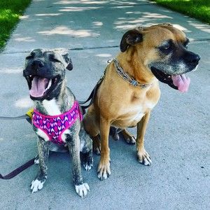 Meet your Posher, Jill